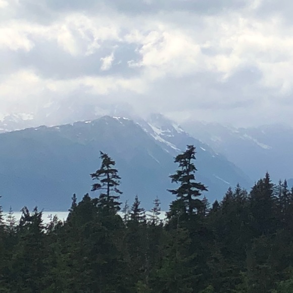 Meet your Posher, Adrienne - Picture 3 of 7